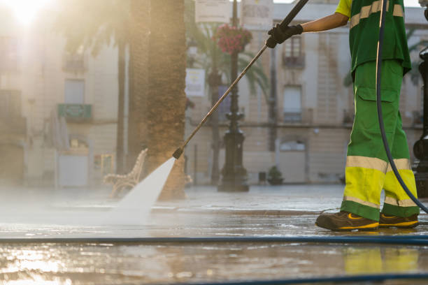 Best Driveway Pressure Washing  in Silver Lake, FL